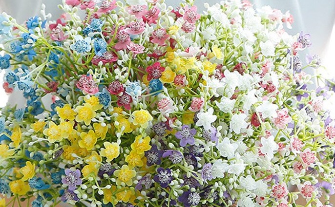 Flores ADEX Gypsophila 2