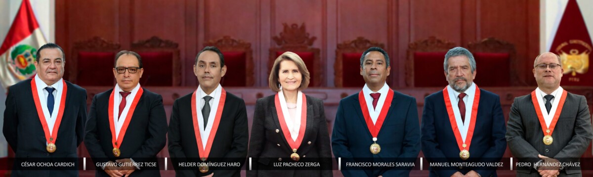 Pleno-2024-II-scaled