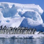 La Antártica y la política de lo posible