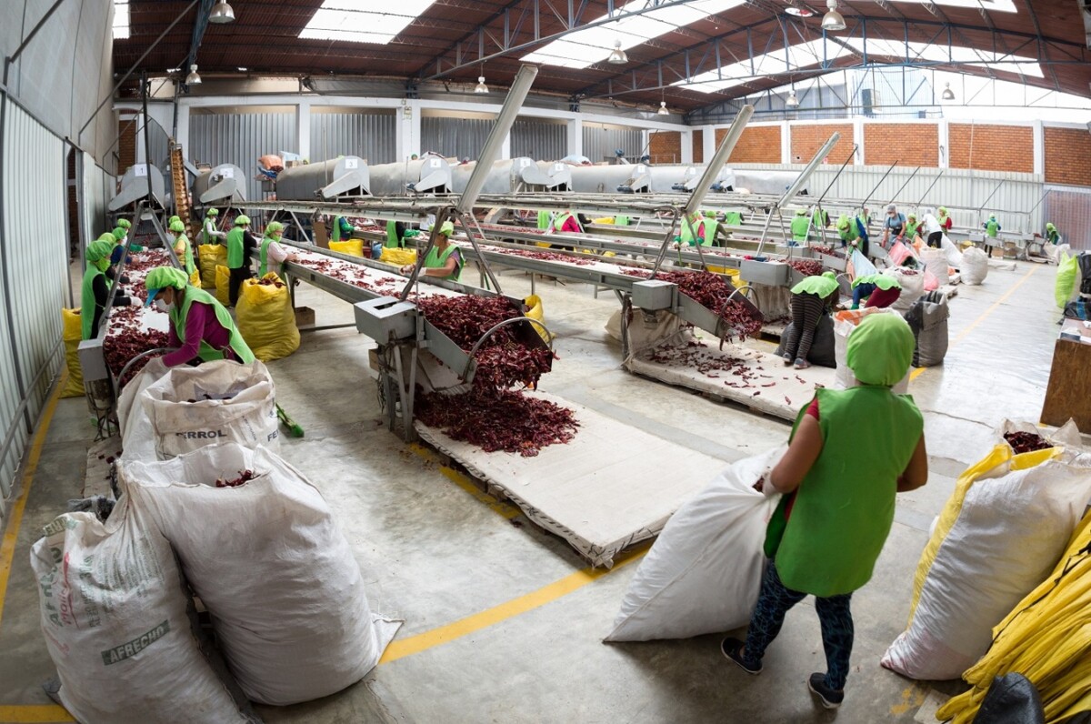 Exportaciones de afrecho