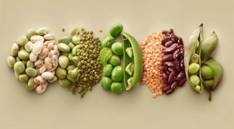 Legumbres
