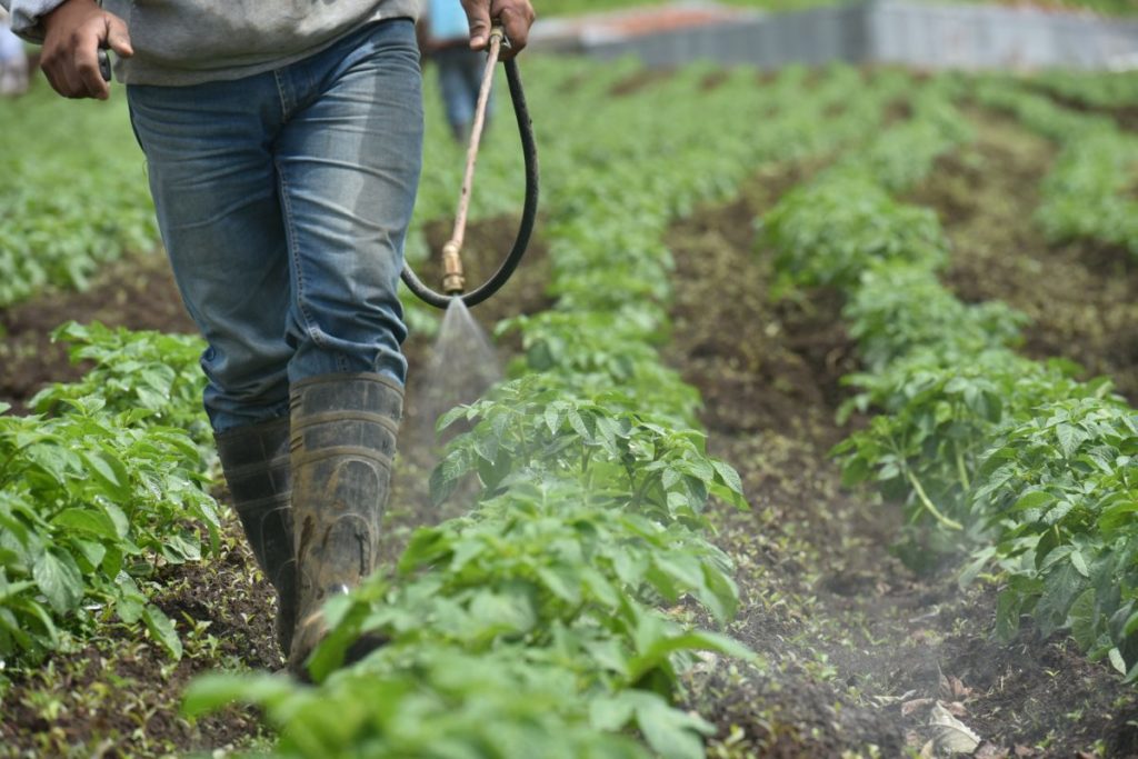 Cultivos plaguicida