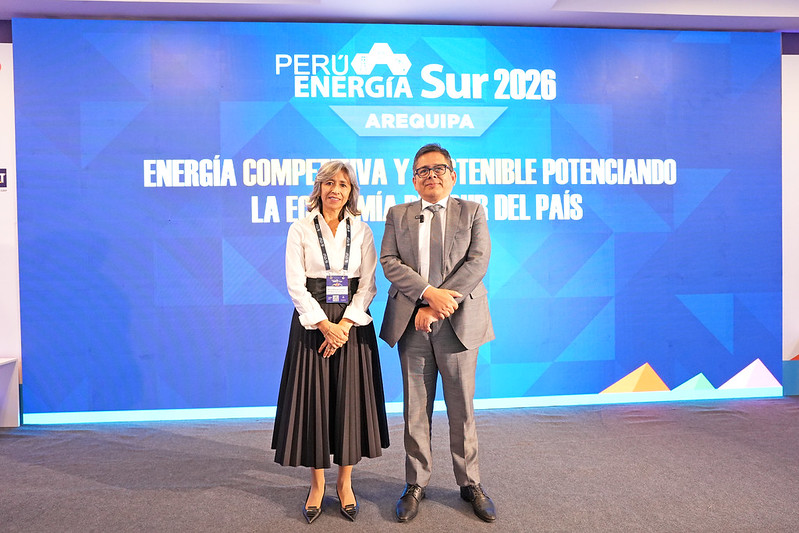 Perú Energía Sur