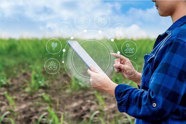 Inteligencia artificial agroindustria
