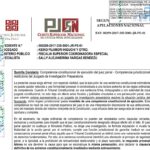 Sala Penal de Apelaciones Nacional absuelve a Keiko Fujimori, Mark Vito y otros 33 imputados del Caso Cócteles