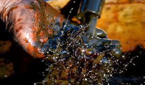 hallazgo petroleo