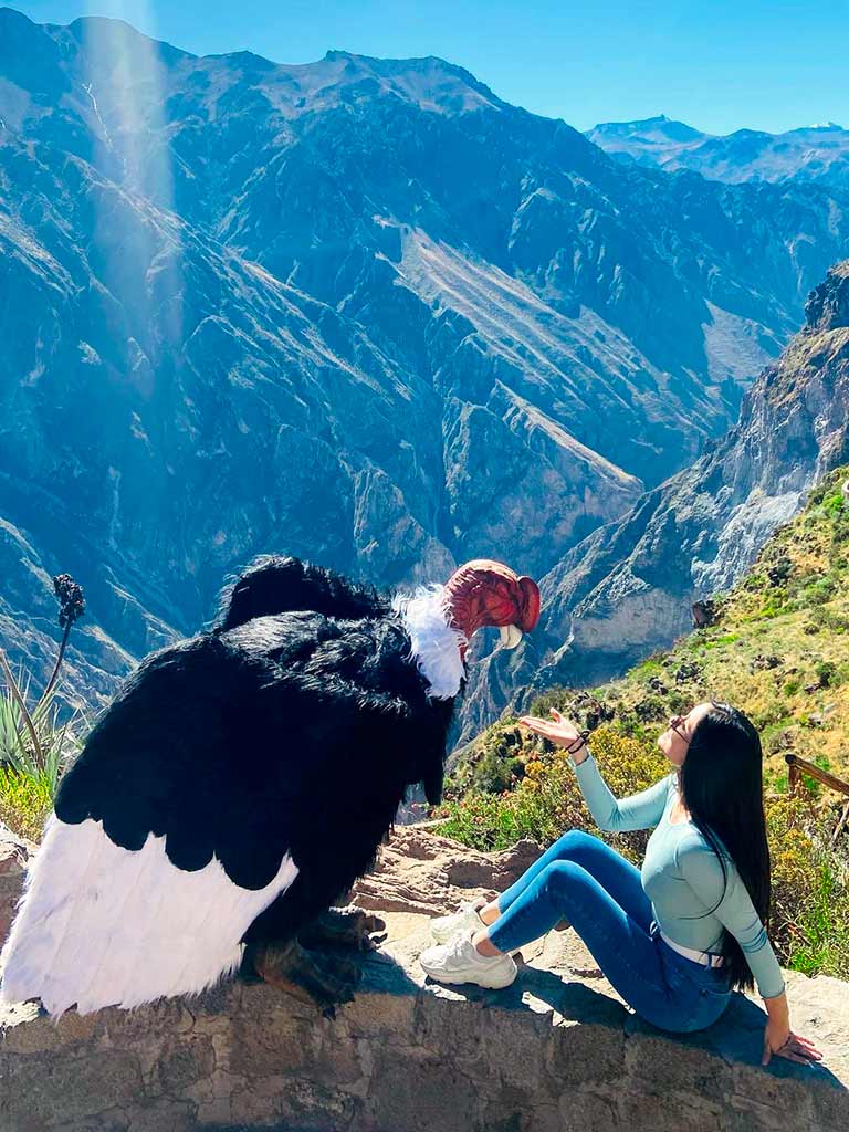 canon-colca-10-media