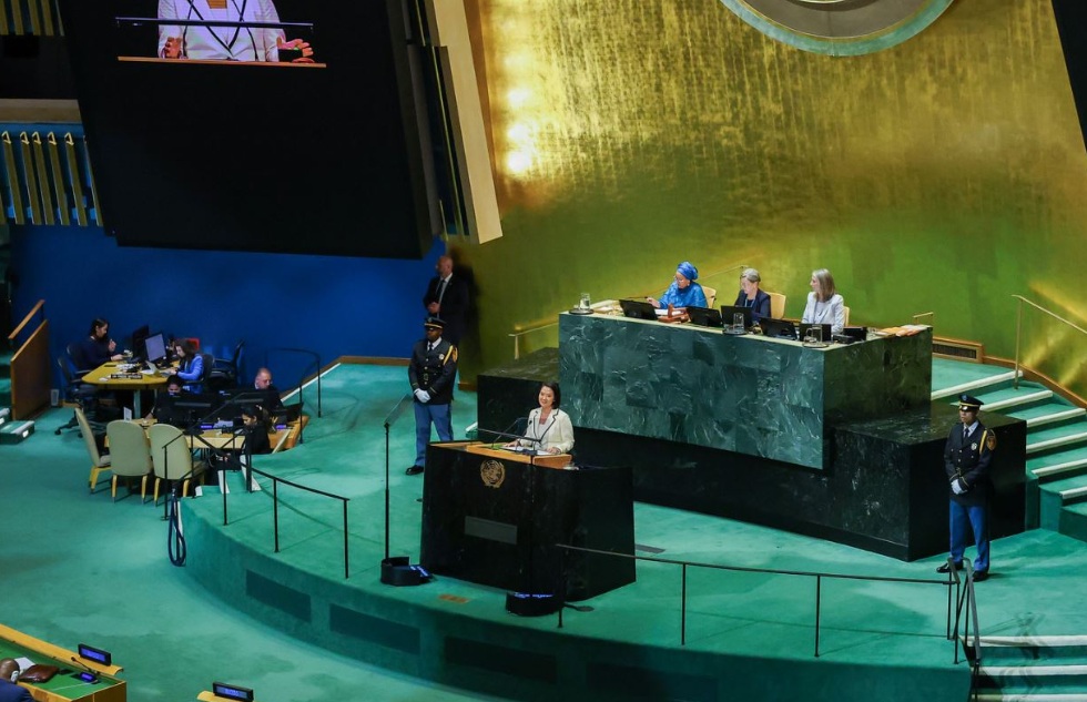 Keiko en la ONU
