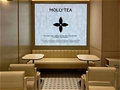 molly-tea