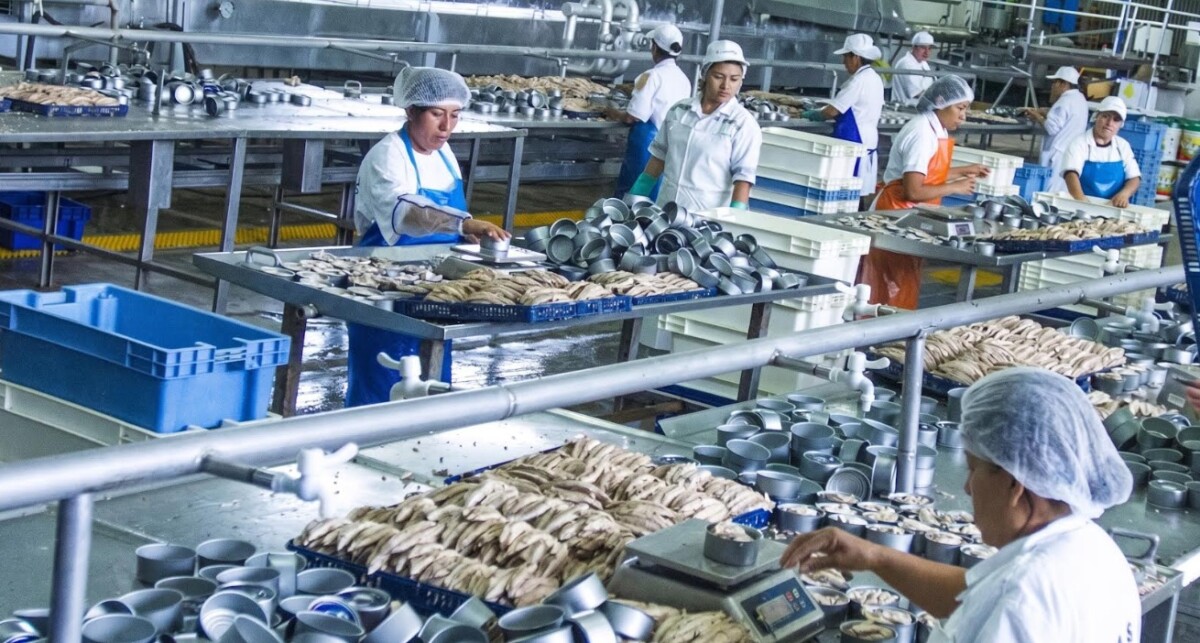 Conservas de pescado