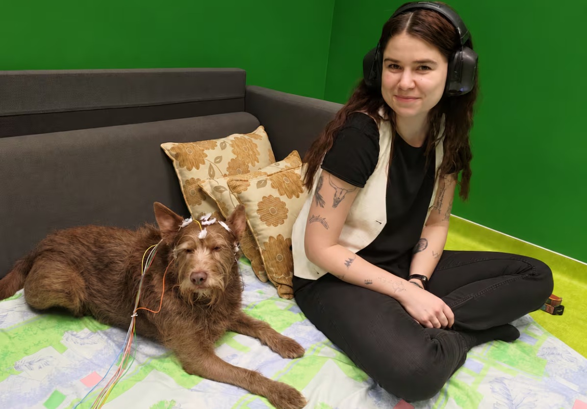 Estudio en perros