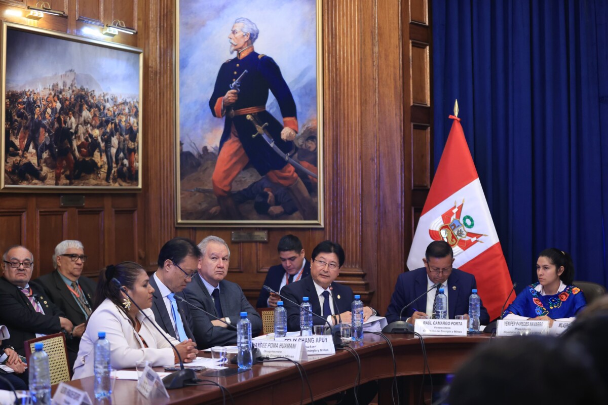 Shinno en Comisión de Energía y Minas